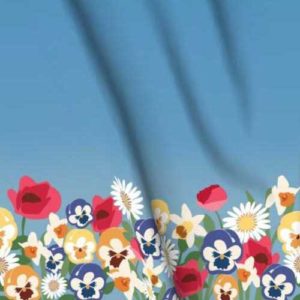 Fabric: Wonderland Floral Border