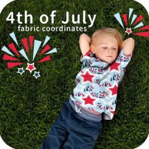 Read more about the article Patriotic Fabrics for 4th of July Sewing & Crafts