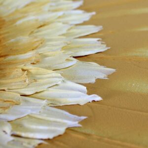 Textured Yellow Sunshine Art on Canvas | Small